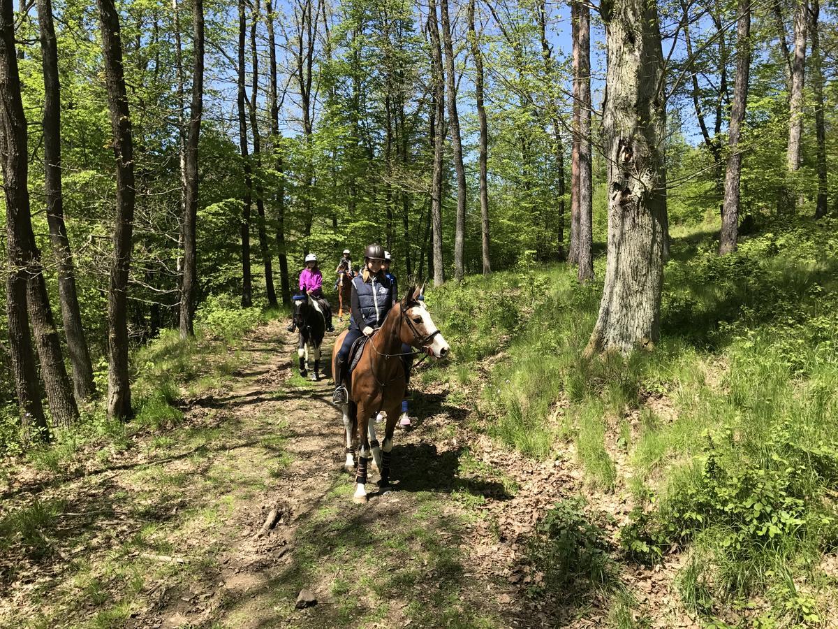 Séjour à la campagne Farma Noe