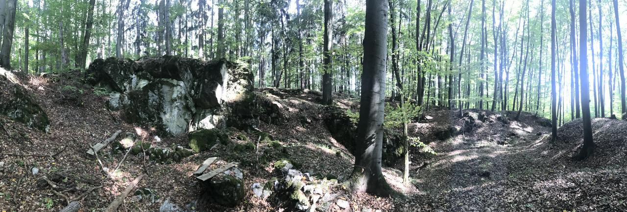 Farma Noe Séjour à la campagne Brezina (Slapanice, Brno-Country)