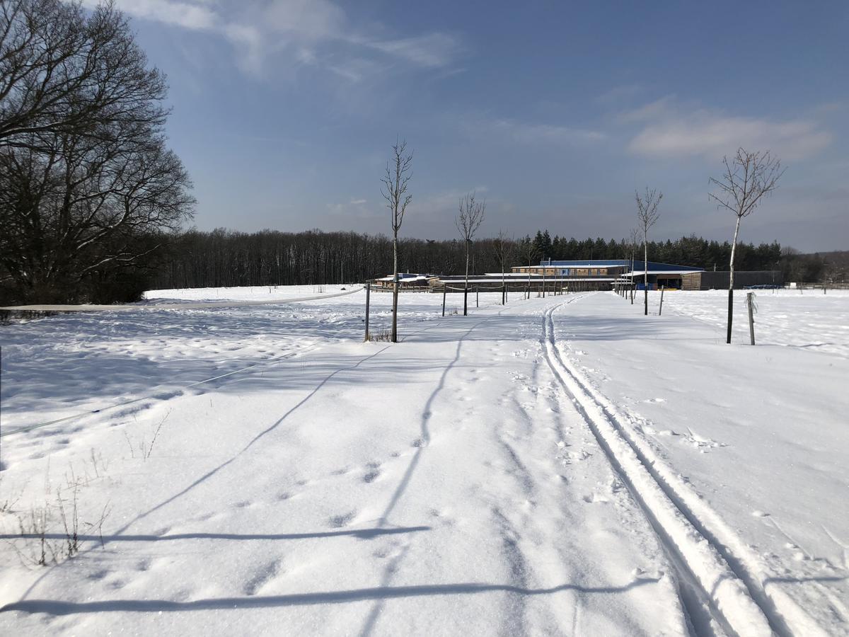 Farma Noe Brezina (Brno-Country)